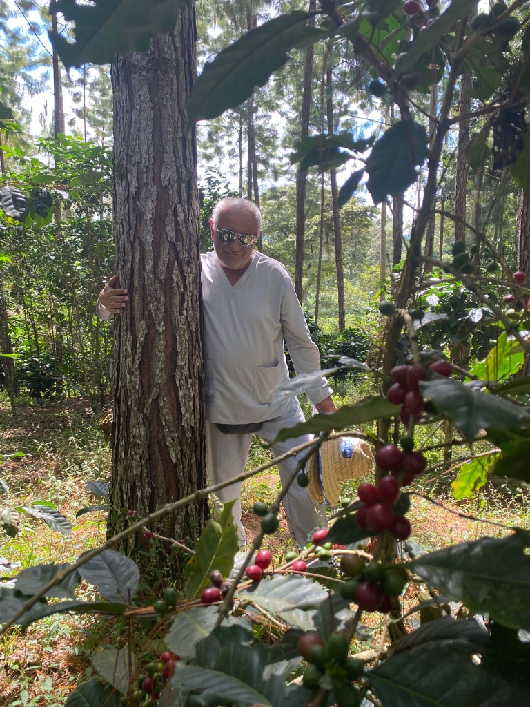 José en árbol